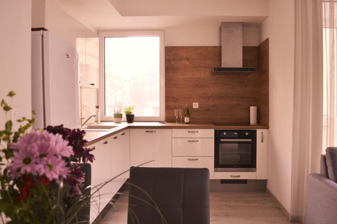 Elegant Escape Apartment I - City Centre Братислава Екстер'єр фото